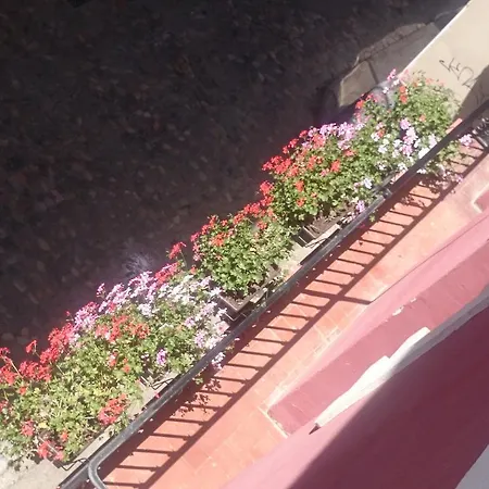 El Centro Guest house Huesca